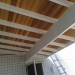 Hospital do Telhado