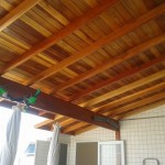 Hospital do Telhado